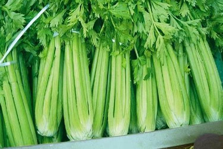 高钾肥有哪些？甜瓜在盛果期冲施高钾肥好不好？