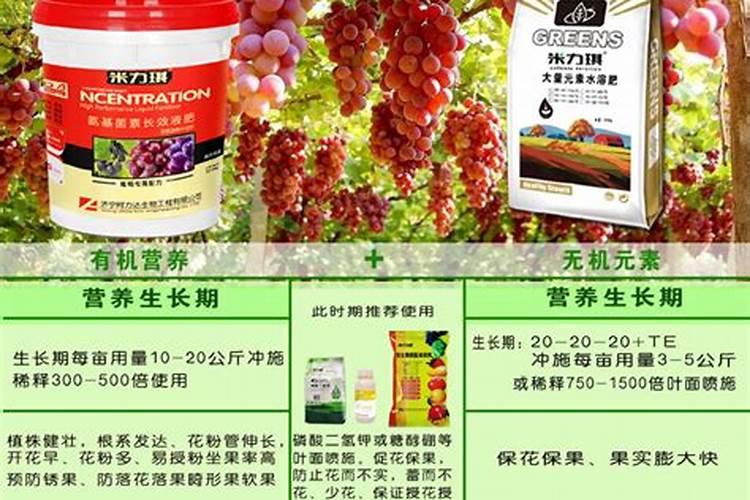葡萄施什么肥最好？