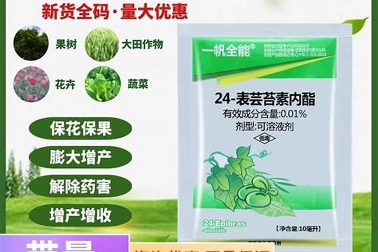 葡萄怎么使用芸苔素