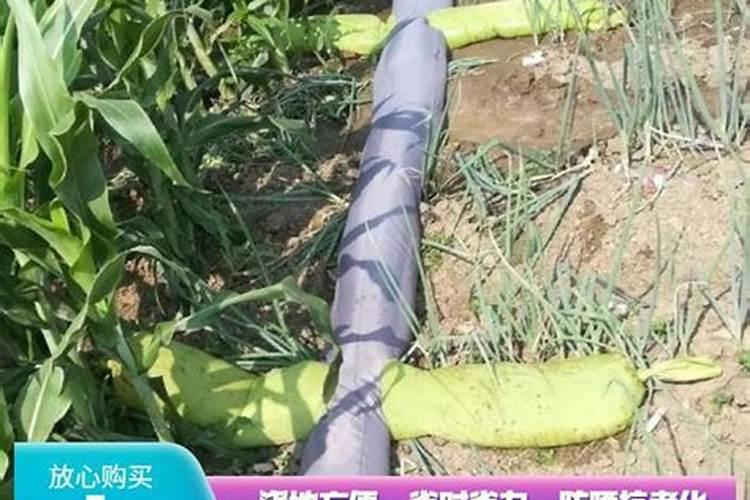 潍坊美德生物科技有限公司怎么样？