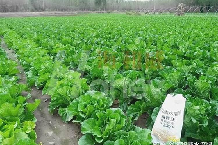 山东裕田高科生物有限公司怎么样？