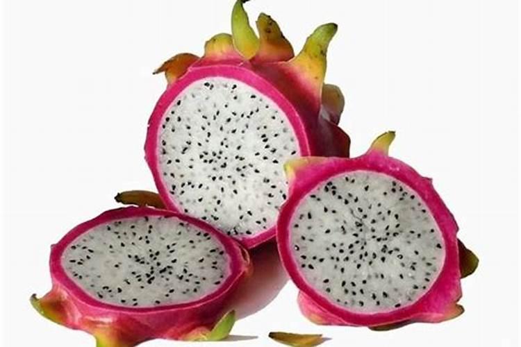 火龙果需要什么肥料？