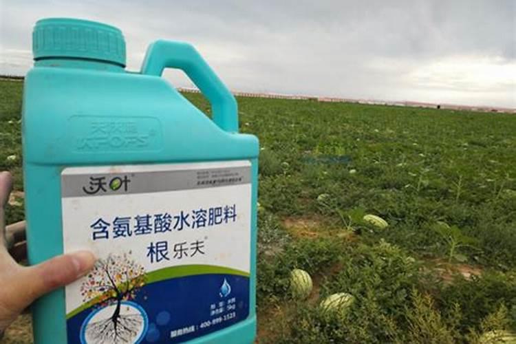 治小麦锈病的特效药