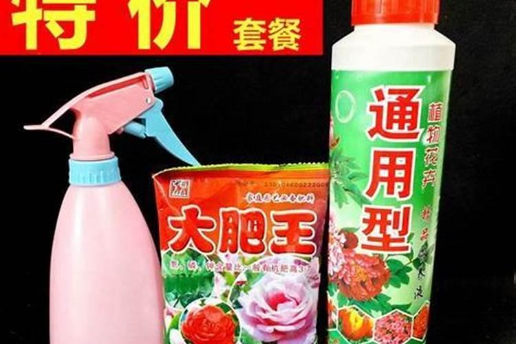 春季养茉莉花如何促根