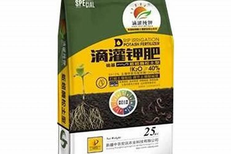 小麦锈病最佳防治时间