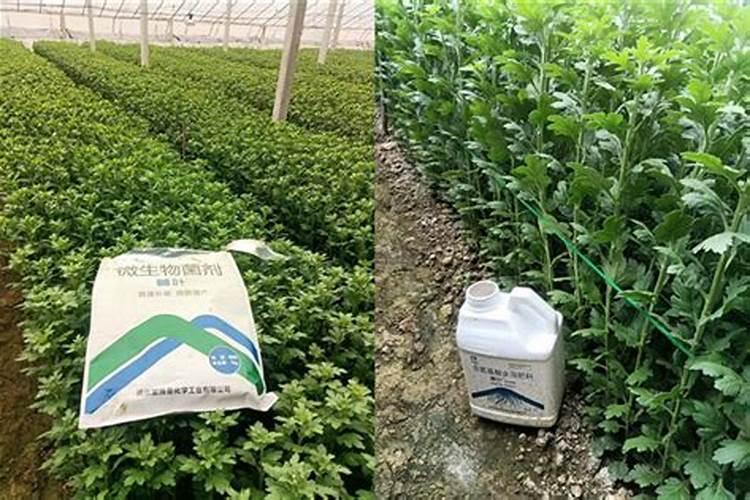 苹果施基肥用水溶肥合理吗？