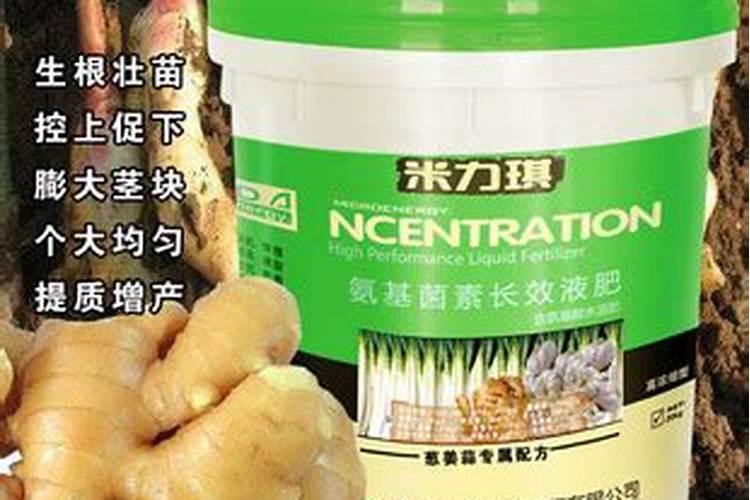 生姜多久施一次肥 施肥的时间和方法