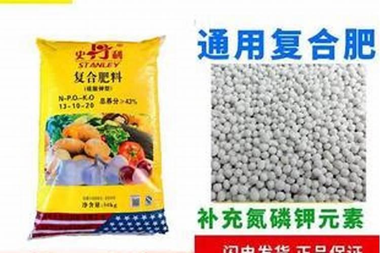 富贵竹用什么肥料