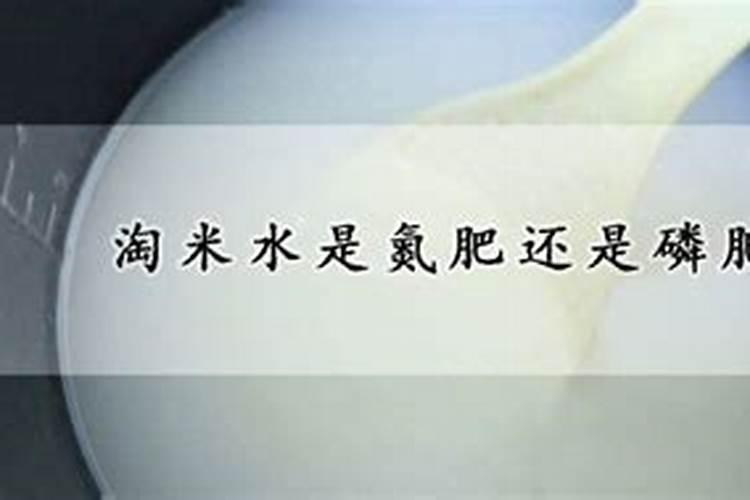 樱桃防裂果最佳方法