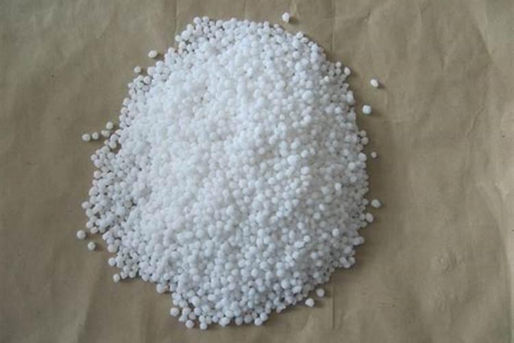 兰花什么时候施氮磷钾？