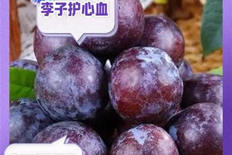 如何上网查询农肥登记证号