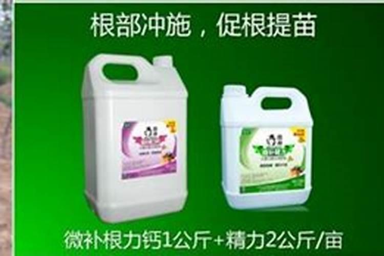 猕猴桃树生长慢,不太抽新梢(春季),冬季怎么用肥管理,修剪