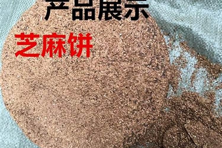 芝麻饼有机肥的功效