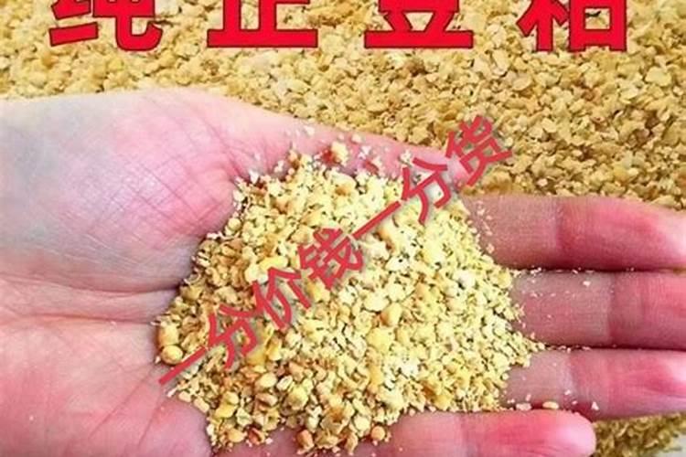 煮熟的豆子给果树当肥料可以吧