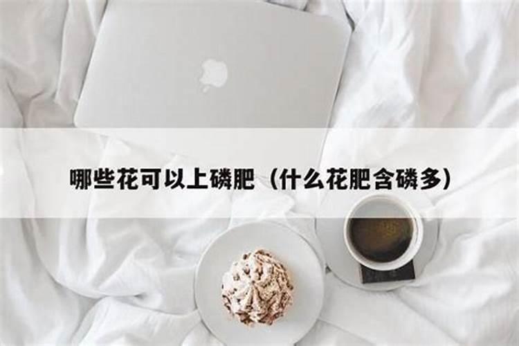 芍药花施什么肥最好