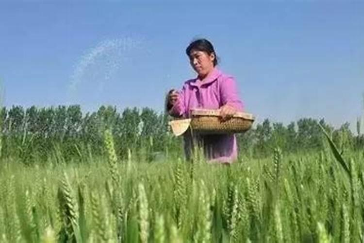 宁夏最大的尿素厂在哪里啊