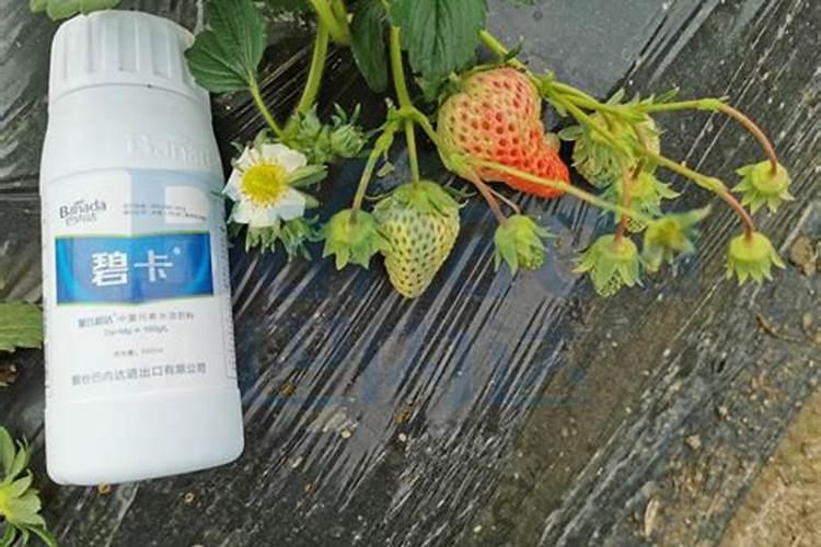 宁夏哪些企业需要用尿素或者硫酸铵？
