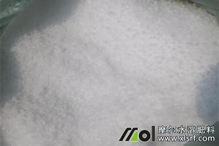 我给樱桃树冲施水溶肥后能不能马上浇水？
