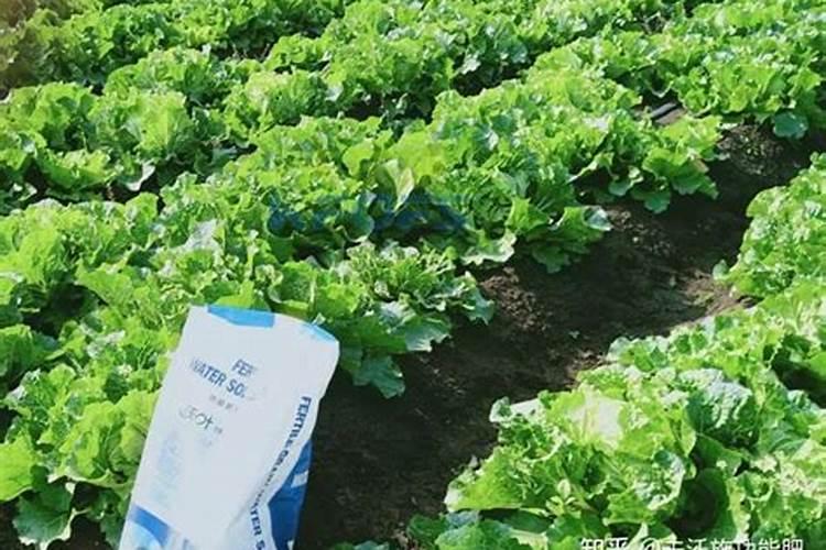 一年生桃树适合喂什么肥料每棵要喂几斤