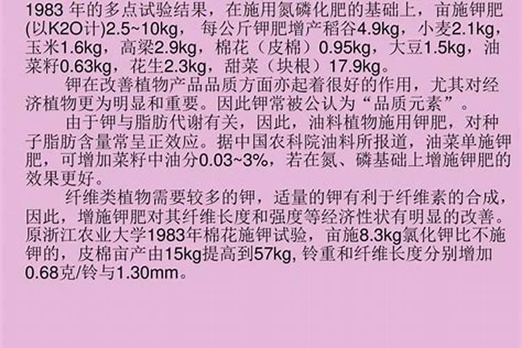 包谷面须煮水的功效
