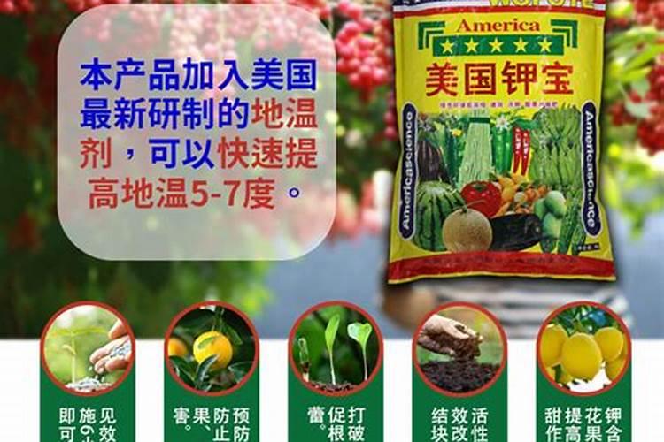 叶面肥和根部追肥有什么区别