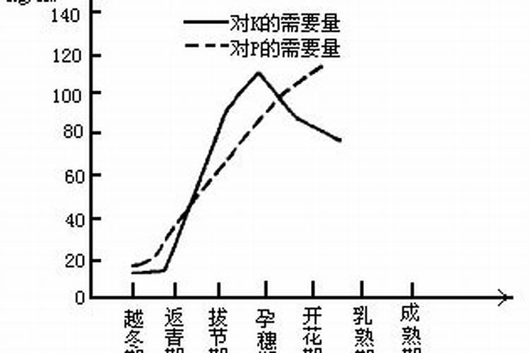 巨峰葡萄怎样施肥