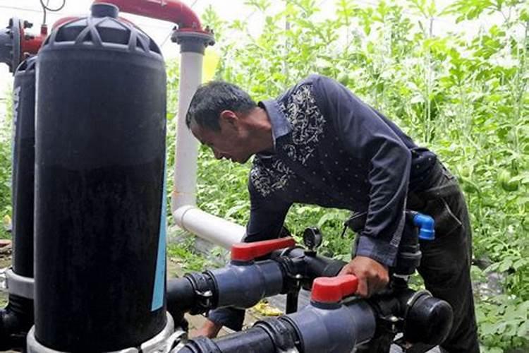 茉莉花开花的时候是什么样的不开花的时候又是什么样？