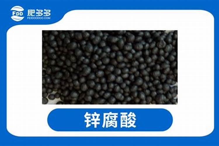 火龙果种植技术与管理