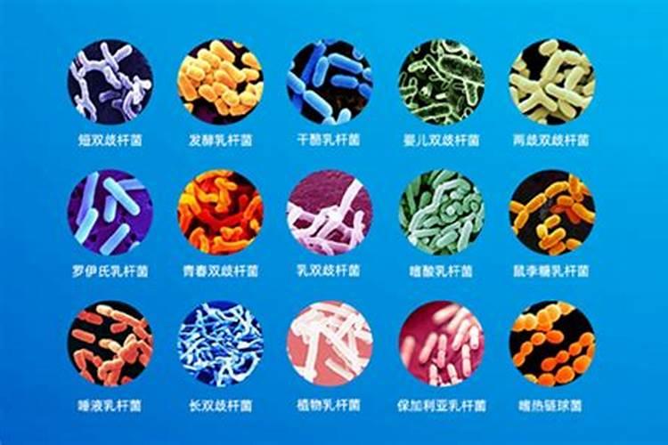 洋葱的管理使肥方法