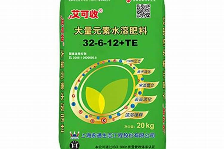 杜鹃花换盆后养护要点