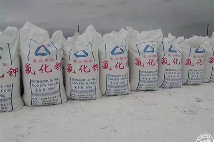 钾肥价格多少钱一吨