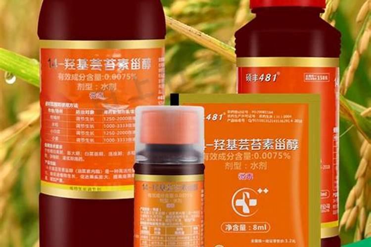 芸苔素使用技巧