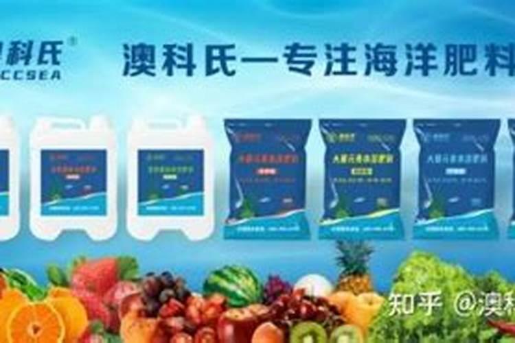 对石榴树施肥50斤水放多少钾肥？