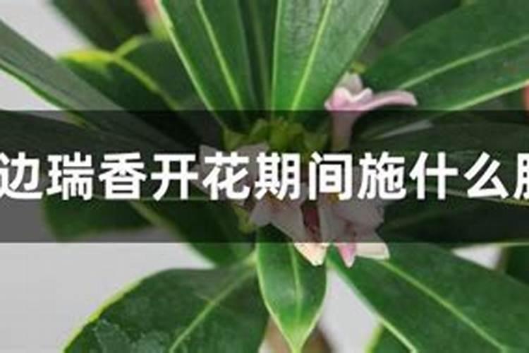 如何判断烟草中氮肥使用过多？