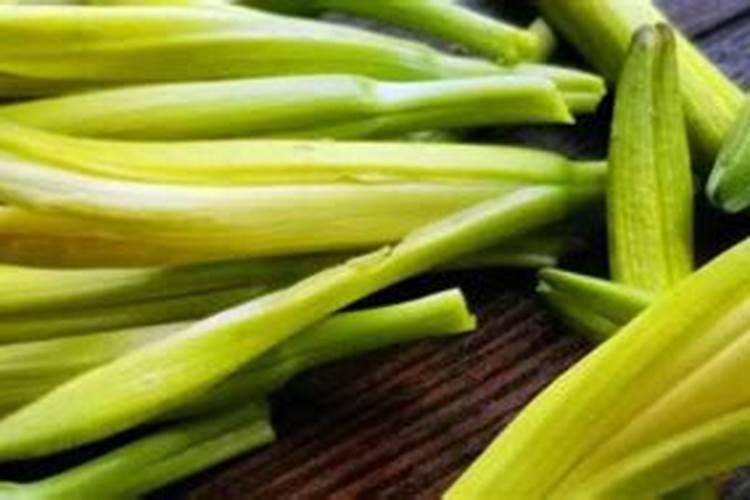 黄花菜怎么种植
