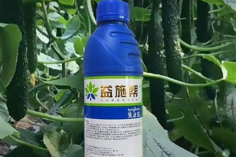 叶面肥价格一般是多少 如何选购好用的叶面肥料