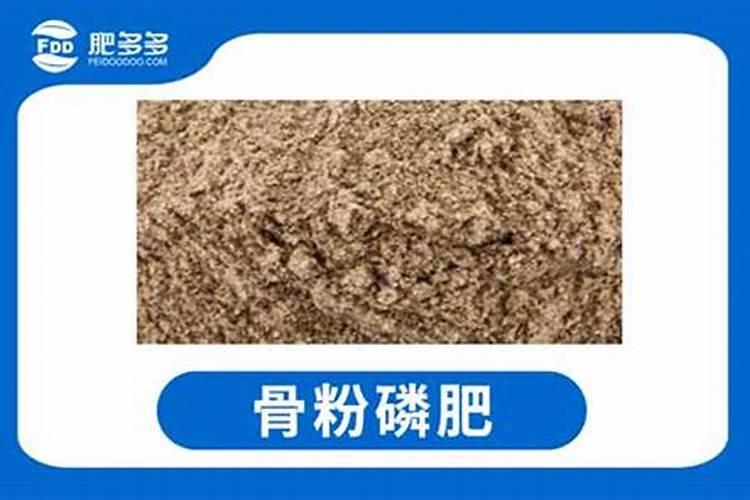 生根的施肥方法什么肥料好？