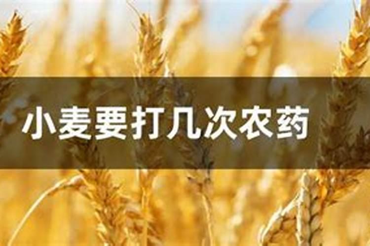 专治黄叶病的特效药