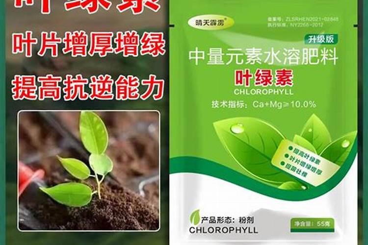 西瓜苗用什么叶面肥会比较不错