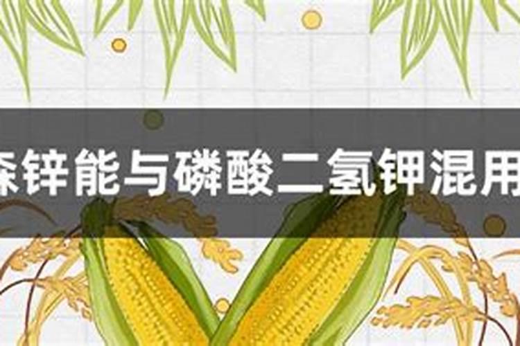 除了牛奶还有什么食物能补钙