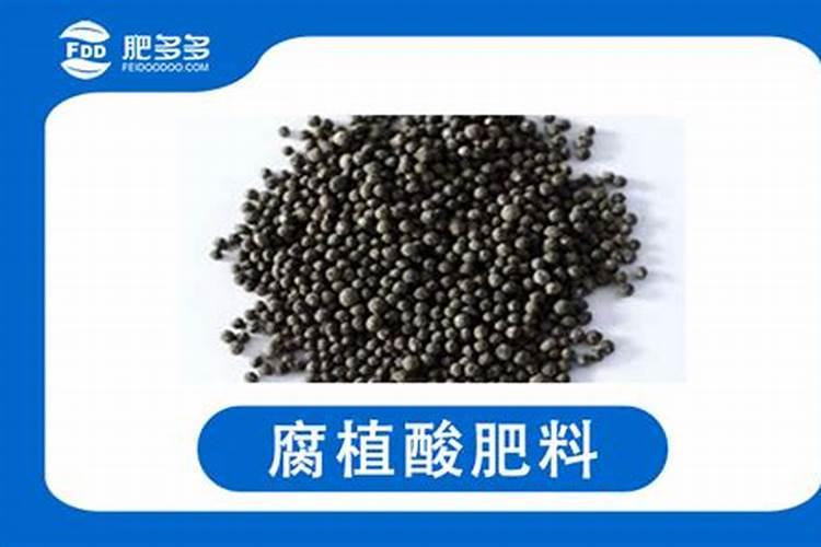 花生追肥用什么肥料最好