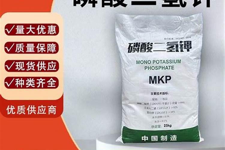 月季用什么肥料最好