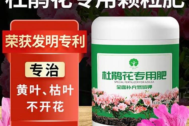 什么是鱼蛋白肥料,鱼蛋白肥料作用及使用方法