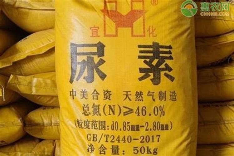 滴灌种植得玉米第一次冲肥硫铵好还是尿素好？