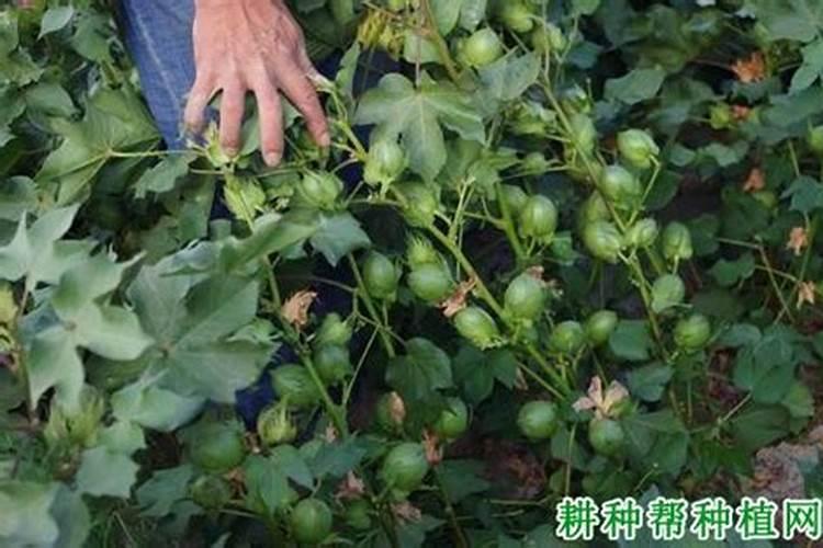 往硫化钾溶液中滴入酚酞溶液变红再加硫酸溶液红色变浅,能证明存在硫离...