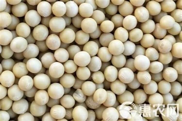 大豆施肥最佳方法