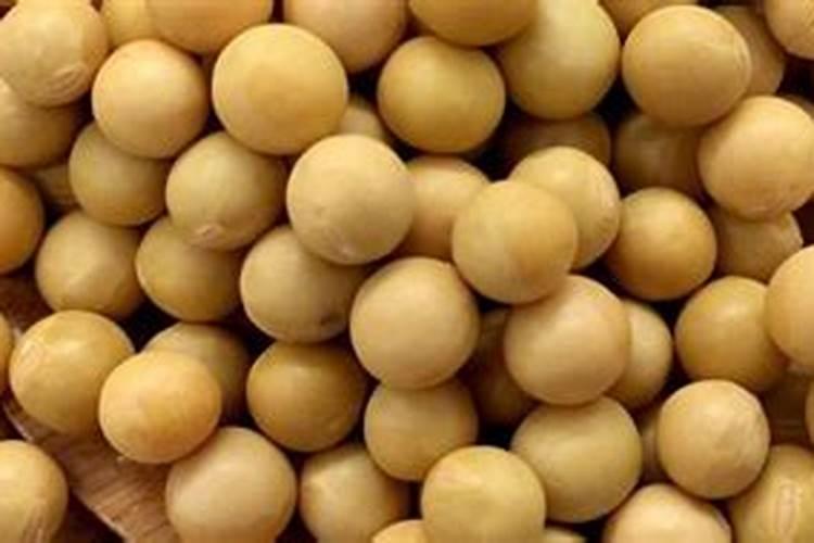 种植大豆需要上多少肥都上什么肥