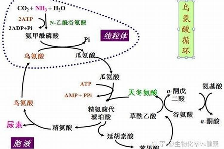 尿素能做水溶肥吗
