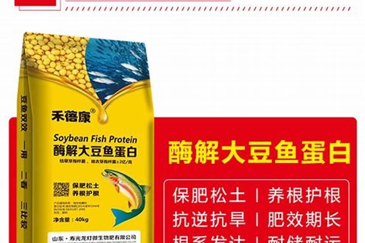 豆饼喂鱼需要发酵吗