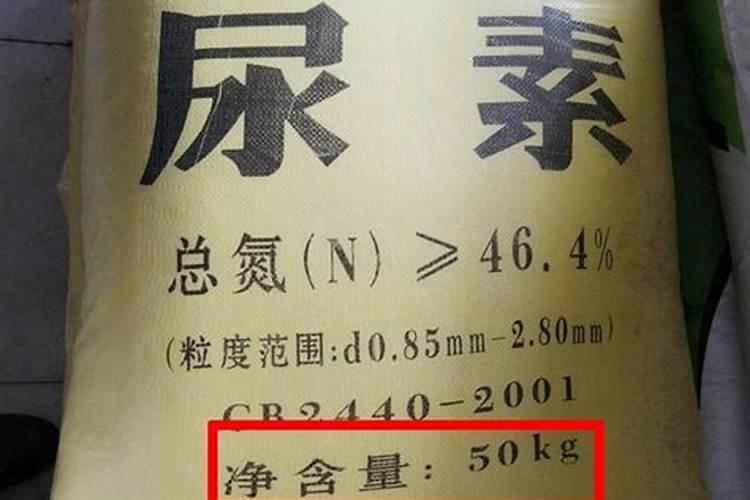 一年中什么时候给月季施肥最好(月季施肥的最佳时间)